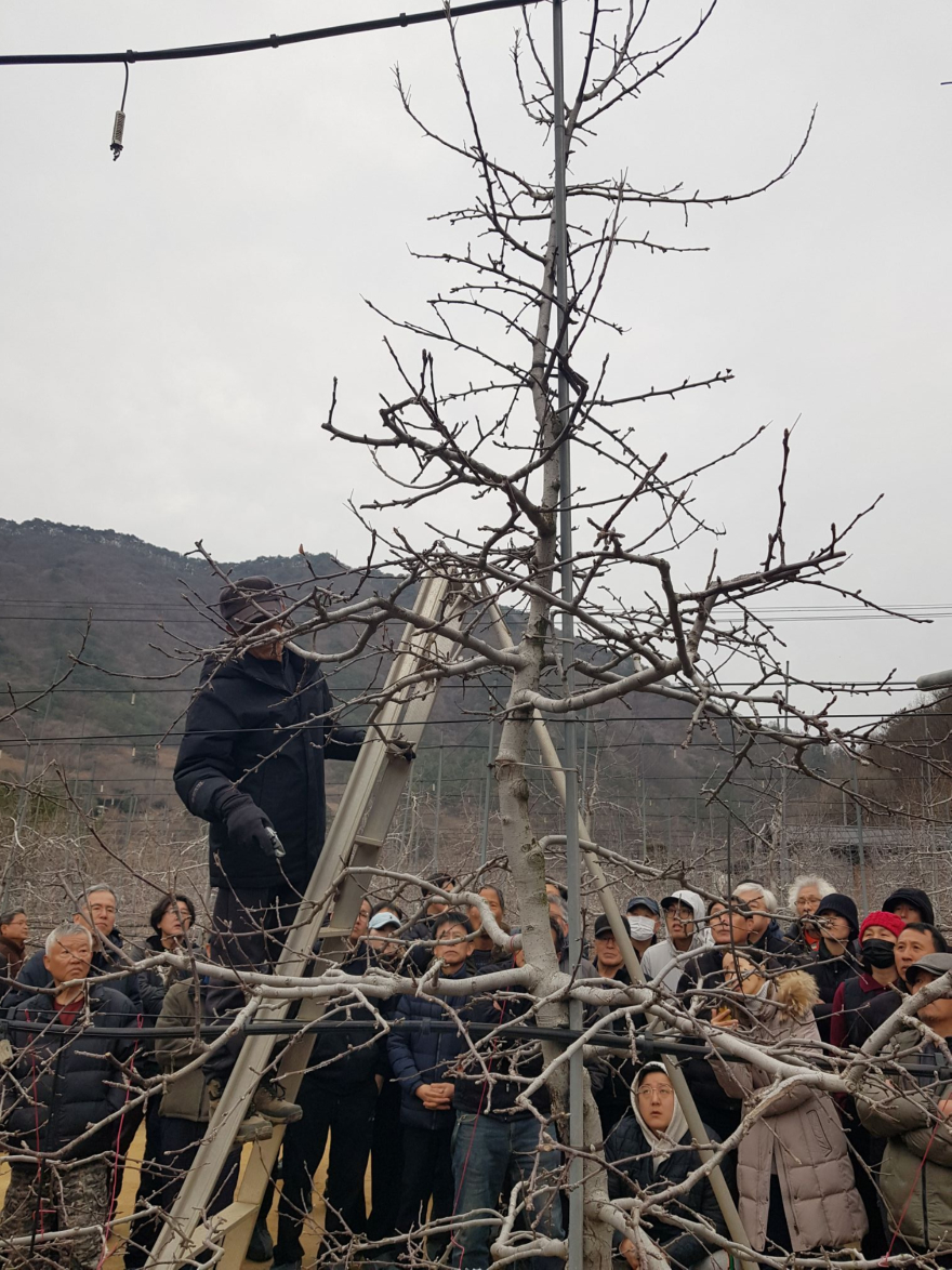 20260309 아리아리정선농업대학현장교육 (2).jpg