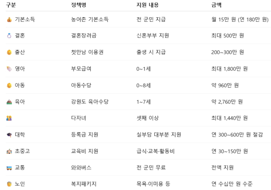 정선군 주요복지정책.jpg