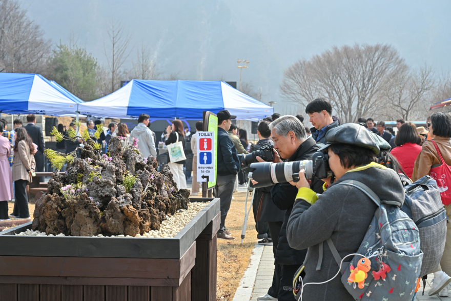 js20260327(제20회 정선동강할미꽃축제 개회식)-10(J91_3350).jpg