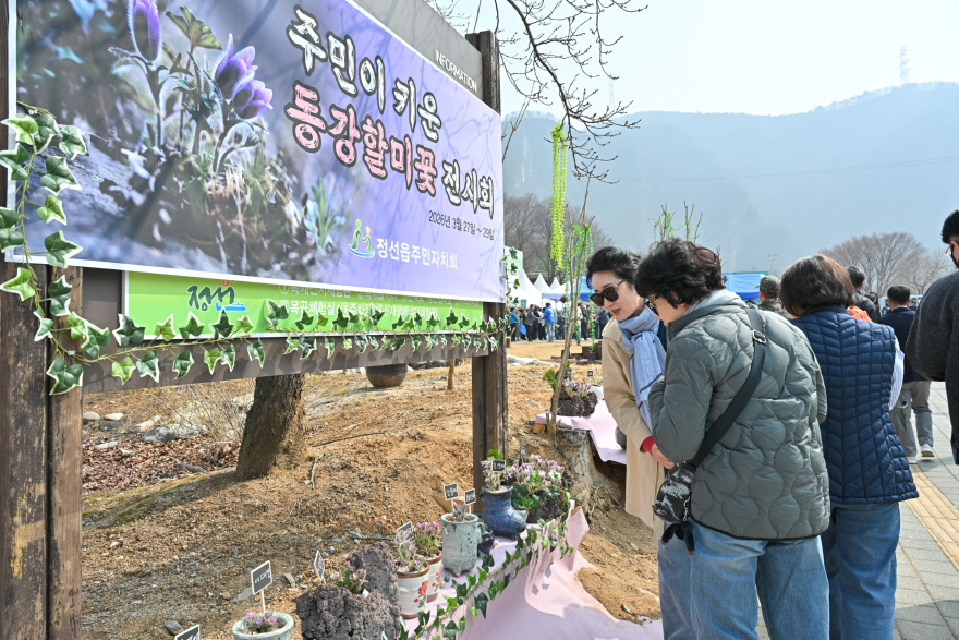 js20260327(제20회 정선동강할미꽃축제 개회식)-05(J91_3338).jpg