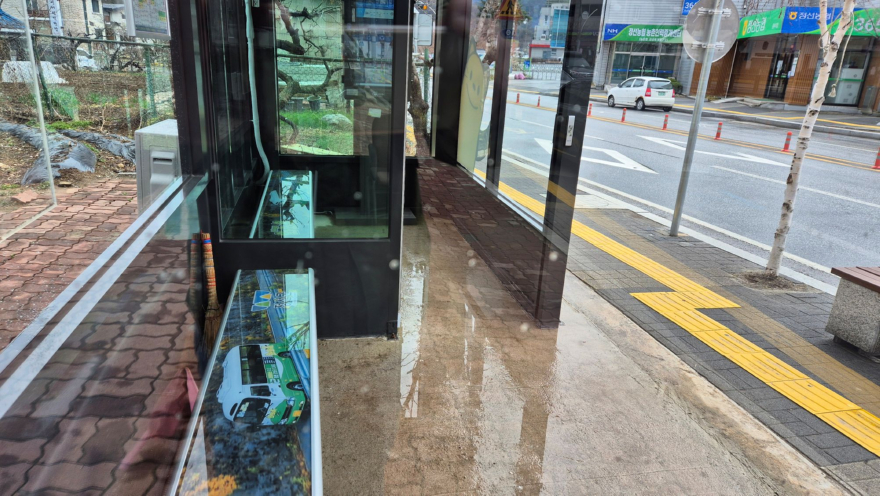 정선농협 정류장.jpg
