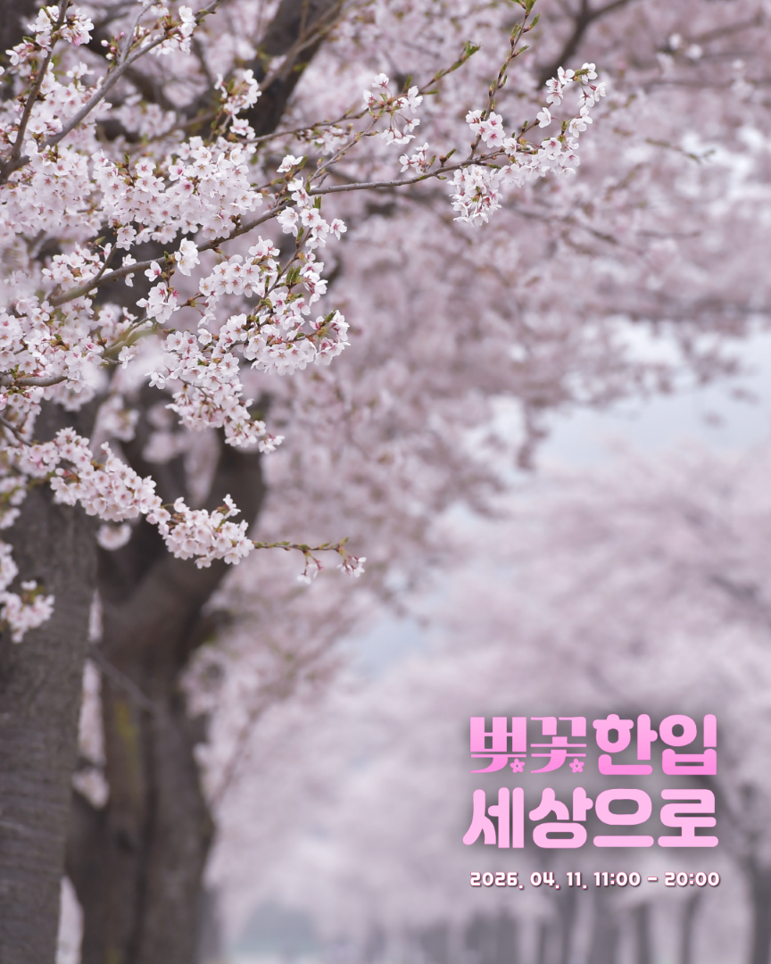 11인스타용_1.png