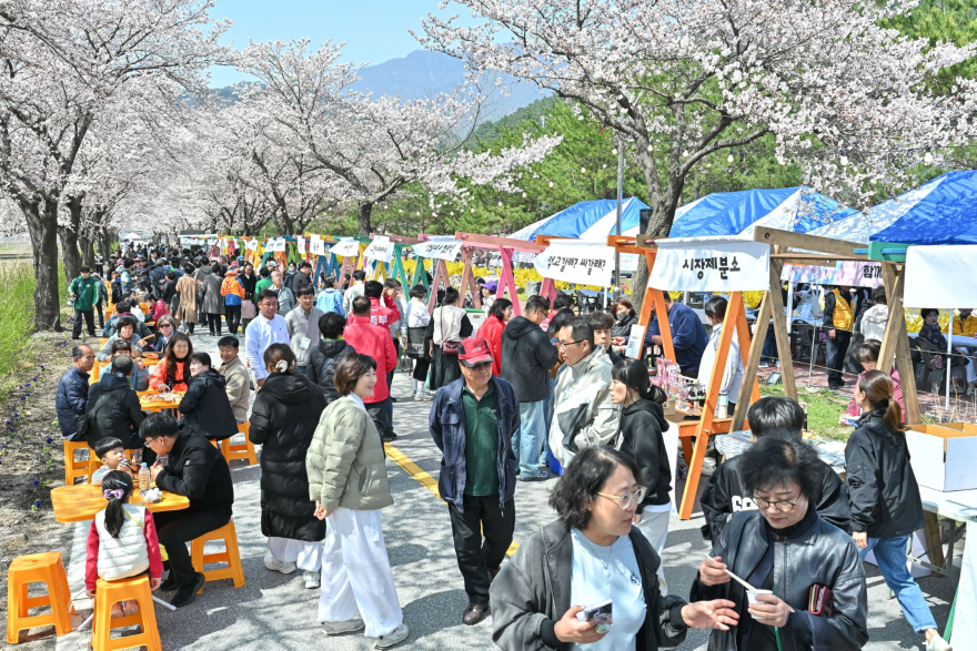 js20260411(제5회 벚꽃 한입 세상으로)-001(J91_6280).jpg