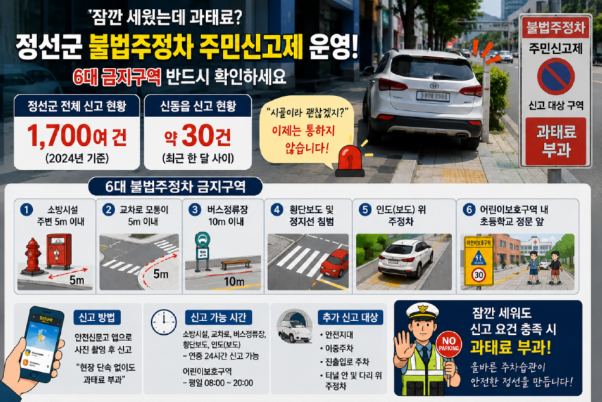 불법주정차 과태료 폭탄 80%.png