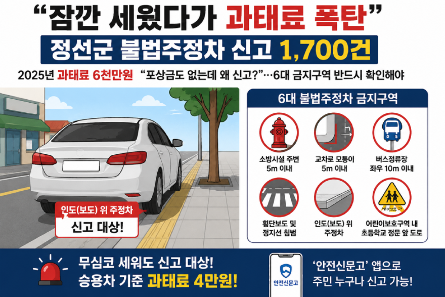 잠깐 세웠다 과태료 폭탄 80%.png