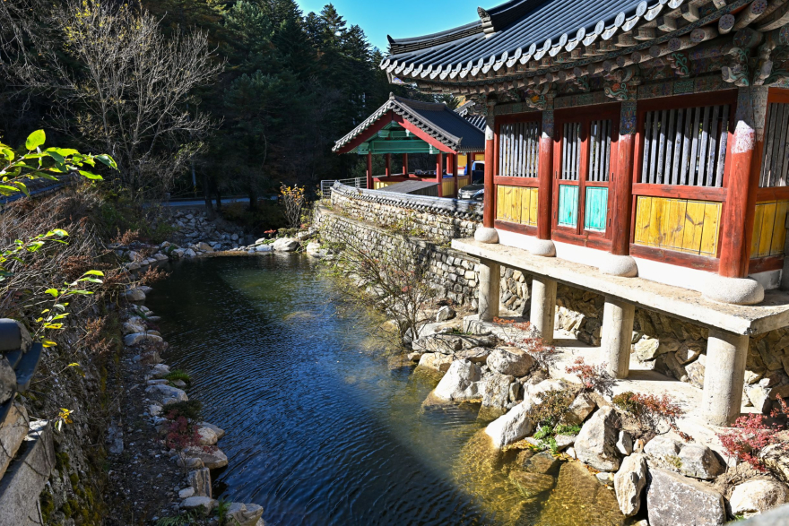 js20231020(정암사 열목어서식지 열목어 방생 법회)-77(JPZ_0964).jpg