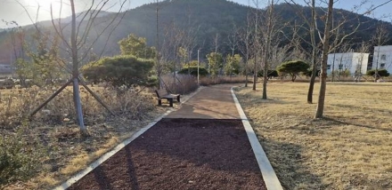 정선군, 신동 더 걷는길 조성 본격화