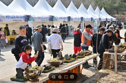 “동강할미꽃 축제장에서 창업·취업 잡는다!”