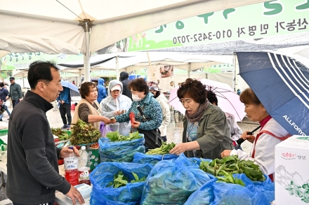 “봄 한입 어때요?” 2026 가리왕산 봄나물축제