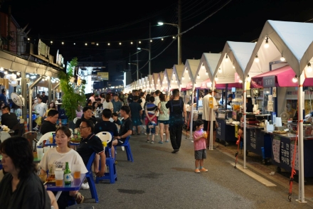 만항재 꽃길 걷고 구공탄시장서 맥주 한잔 인기