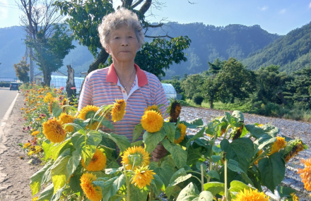 “꽃에 무슨 우열이 있나, 다 예쁘지”