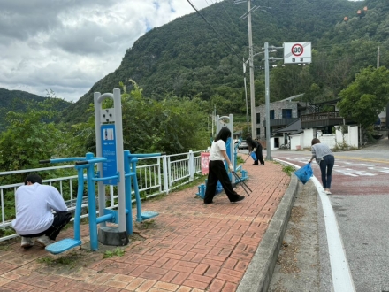 정선군 추석맞이 국토 대청결 활동