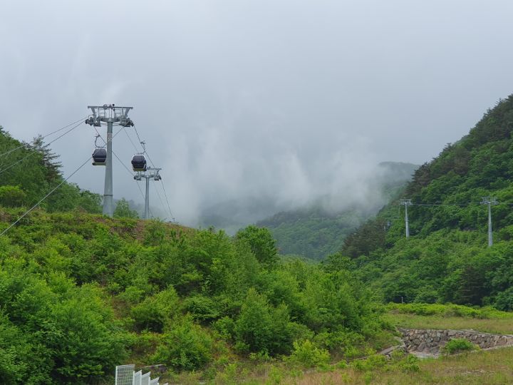 가리왕산 케이블카 반려견 동반 탑승 이벤트 운영