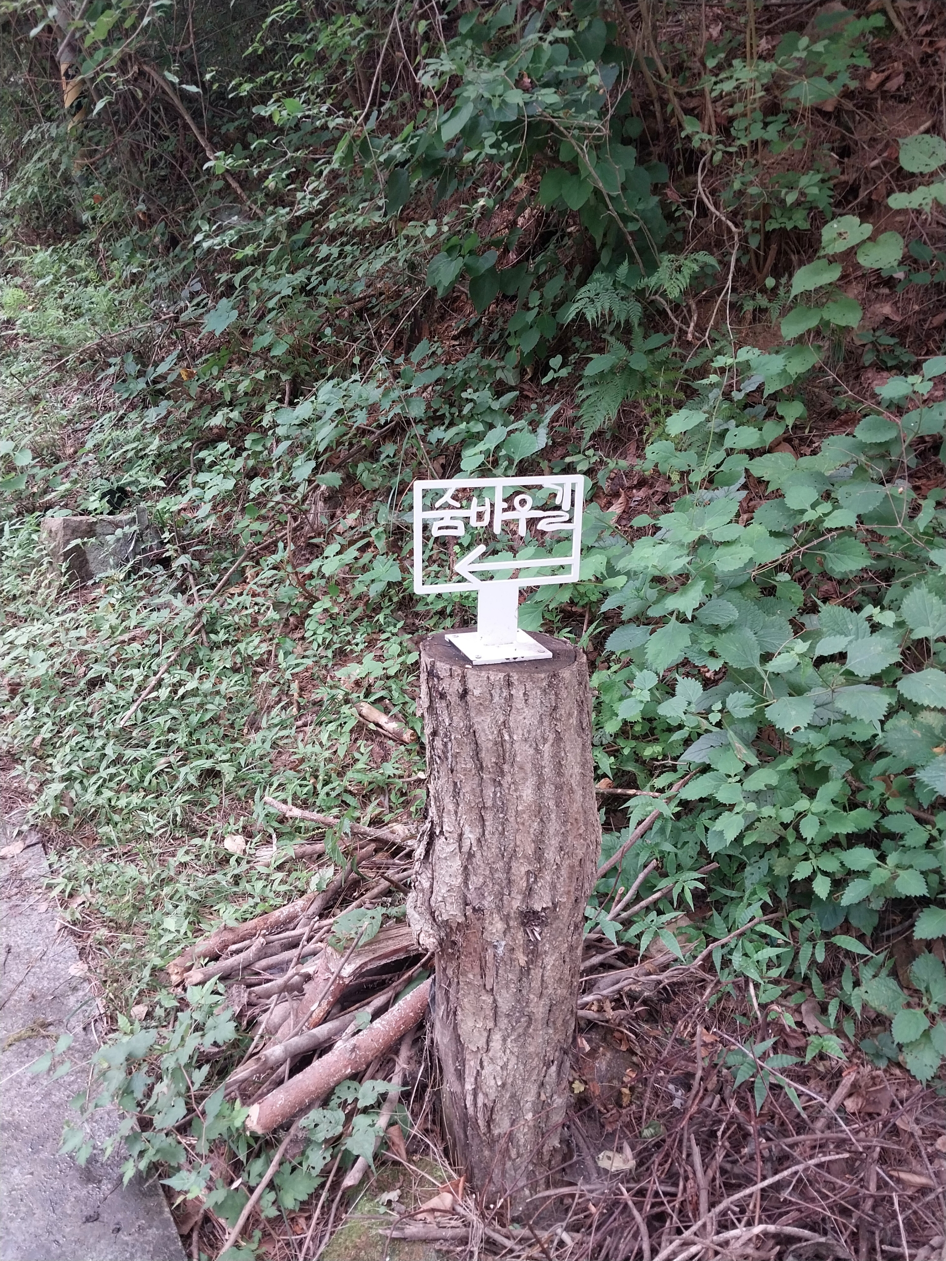 [기자수첩] 항골숨바우길, 유명세 걸 맞는 기반 마련필요