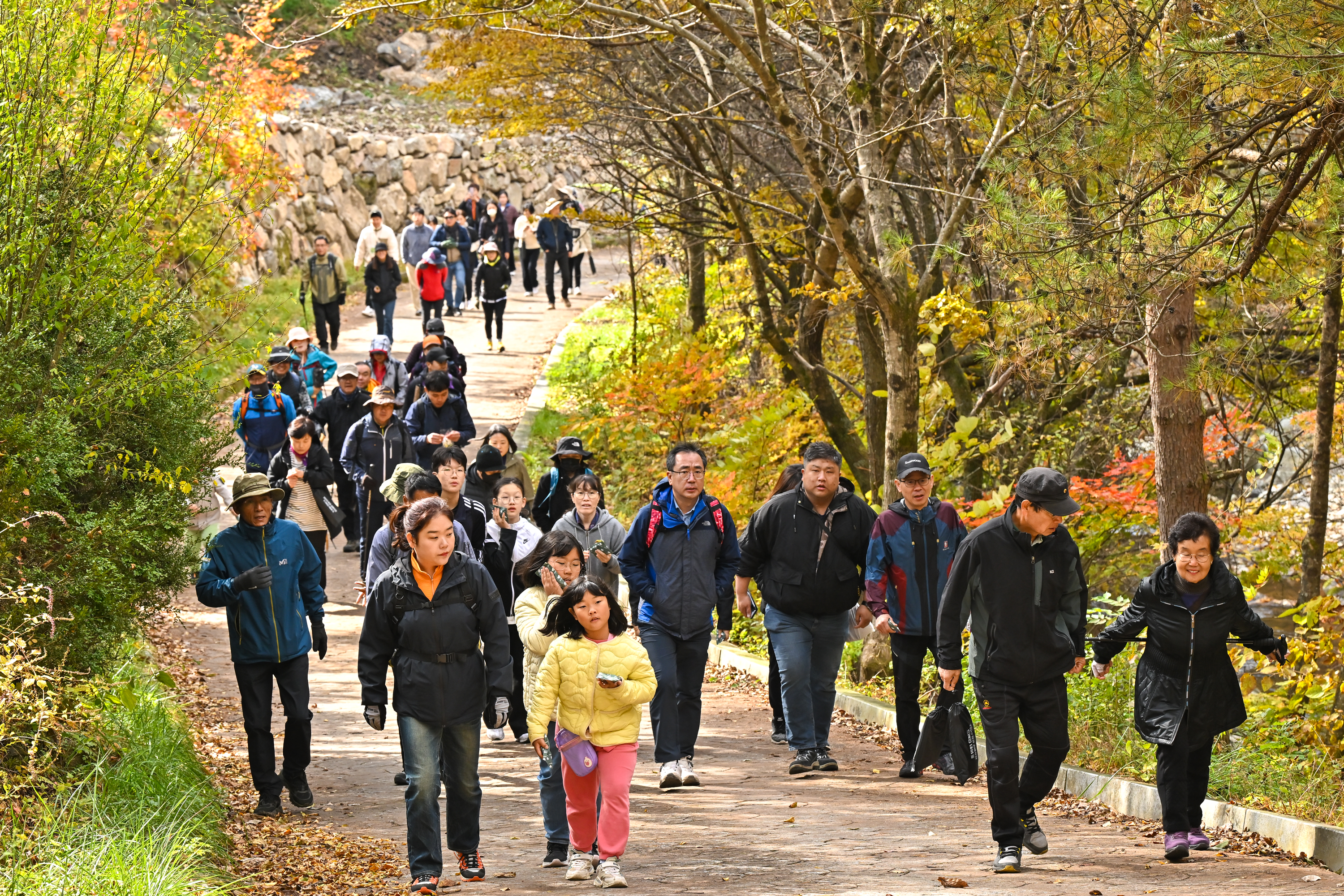 오는 18일 항골 숨바우길 트레킹·나전역 야시장 ‘야밤바’ 동시 개최